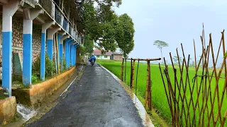 Relaxing Rain in a Cool and Calm Countryside||Indonesian Rural Atmosphere