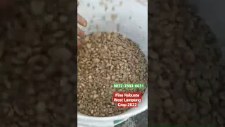 Ready Fine Robusta Lampung