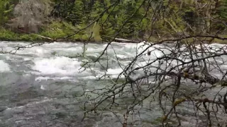 Binarch Creek Rapid on the Priest River @6300 cfs.