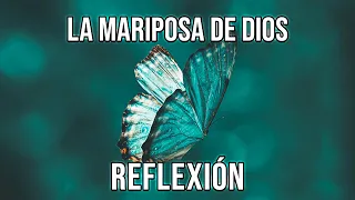 LA MARIPOSA DE DIOS - Reflexiones Diarias, Positivas, Hermosas, de Vida, del Alma, Mejor Persona.