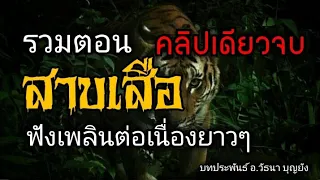 สาบเสือ (รวมตอนเดียวจบ) ฟังต่อเนื่องยาวๆ