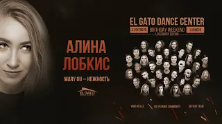 Mary Gu - Нежность | Alina Lobkis | El Gato D.C. Birthday Workshops 2020