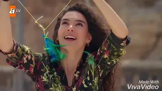 Reyyen & miran | hercai | perfect