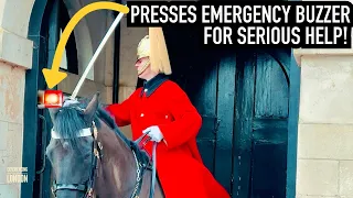 Royal Guard Horse QUITS & TAKES OFF! | Horse Guards, Royal guard, Kings Guard, Horse, London, 2024