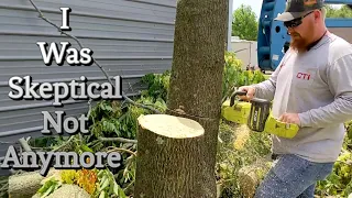 Ryobi 40 Volt Chainsaw Vs 2 Full Grown Trees