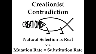 Creationist Contradictions: "Natural Selection is Real" vs. "Mutation Rate = Substitution Rate"