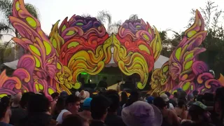 Dark Whisper @ Psy Circus 2019 GDL MX