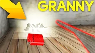 KILLED GRANNY'S PET SPIDER BY GASOLINE! - Granny