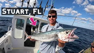 Catching HUGE KING MACKERAL Offshore Trolling ! (Stuart, FL)