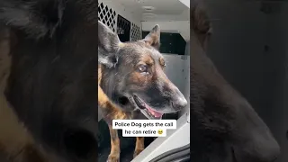 Police Dog goes off into retirement. All the feels.