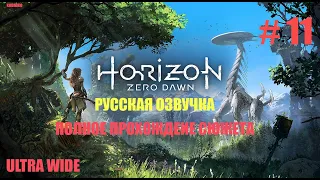 🚀 Horizon Zero Dawn 🚀 Прохождение 🚀 Часть 11 🚀KODMIKO 🚀 Весь сюжет 60fps UltaWide  🚀 КОДМИКО 🚀