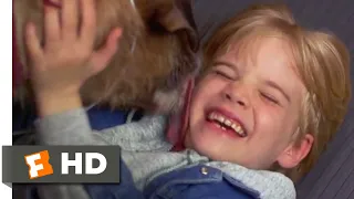 Look Who's Talking Now (1993) - Adopting a Dog Scene (2/10) | Movieclips