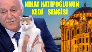 NİHAT HATİPOĞLU'NU KEDİ ZİYARET EDİYOR  2020 -  [Nihat Hatipoğlu ile Sahur]