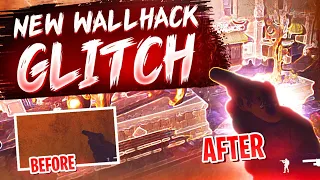 This glitch gives you wallhacks