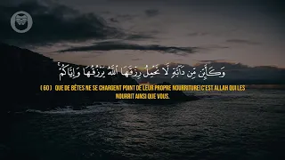 ❤️Sourate Al-Ankabut (51-62) - Sherif Mostafa سورة العنكبوت - شريف مصطفى ❤️