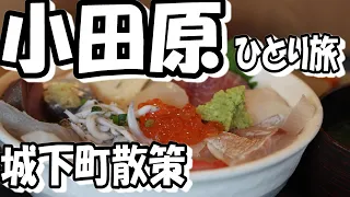 [vlog]海の幸と歴史の町。箱根行くなら小田原寄らなきゃもったいない！！