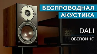 Беспроводная акустика DALI Oberon 1C