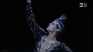 ROBERTO BOLLE and Svetlana Zakharova - Bayadere - Act 11 pdd.