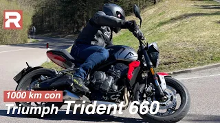 Triumph Trident 660 - Our "1,000 with..." test with the roadster that aims to the top