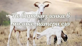 Не вари козленка в молоке матери его. Толкование