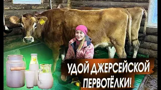 Зарабатываем в деревне. Продажа продукции и животных | Молодая Ферма