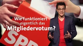 #kurzerklärt: Wie funktioniert das SPD-Mitgliedervotum?