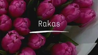 Rakas ❤️