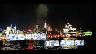 꿈속의 사랑(현인-디스코ver~ 퐝hoya ae30 팬플릇)