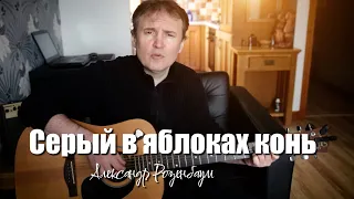 "Серый в яблоках конь" автор Александр Розенбаум.