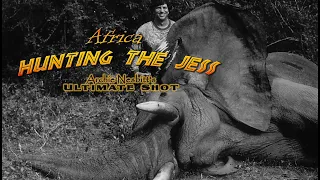 Bow hunt elephant - Hunting the Jess - bow hunting Zambia for dangerous 7- AI enhanced video to HD