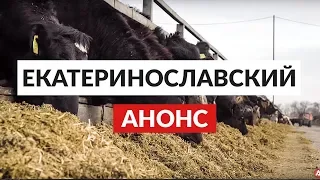 Молочно-товарный комплекс «Екатеринославский». 19 апреля. Анонс. AGROSPHERA