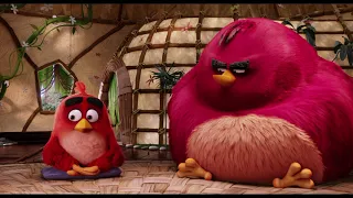 Angry Birds в кино. Бомб бомбит! (Angry Birds) 2016   [MultTime]
