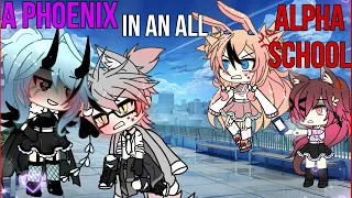 🔥~A PHOENIX in an ALL ALPHA school~🥵 {GACHA} Gachalife mini movie 🍿- GACHA - 🥂✨