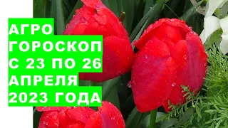 Агрогороскоп с 23 по 26 апреля 2023 года. Агрогороскоп з 23 по 26 квітня 2023 року