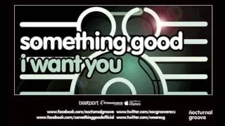 Something Good - I Want You : Nocturnal Groove