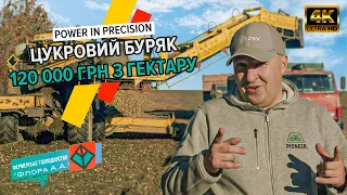 Скільки можна заробити на цукровому буряку?🤑 Досвід господарства Флора А. А.