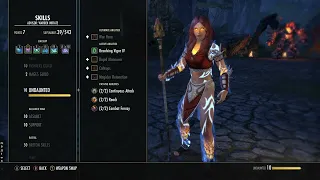 ESO PvP: MAGDEN Healer Build (FAT HEALS & TANKY!!)