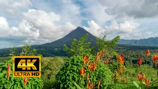 Costa Rica - Natur Paradise  4K  🌄🌅🐒🐦