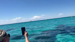 The MudSkipper homebuilt flying boat Footage from a boat.