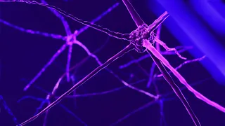 Neuron Structure - 3D Animation