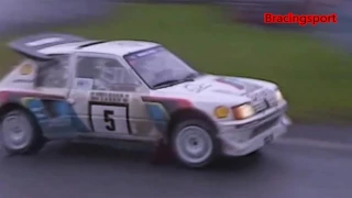 T16 The Peugeot 205 Turbo 16 - Tribute group b