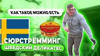 Сюрстрёмминг Шведский деликатес ! Как можно такое жрать ???