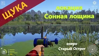 Русская рыбалка 4 - озеро Старый Острог - Щука в Сонной лощине