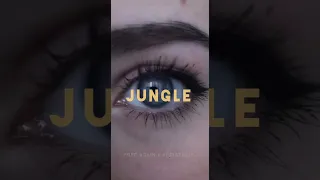 Fred Again - Jungle (Adriatique Remix) (Official Visualiser)