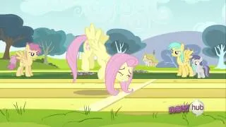 My Little Pony Friendship is Magic season 2 episode 22 "Hurricane Fluttershy"