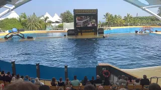 Loro Parque