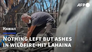 Nothing left but ashes in Hawaiian wildfire-hit town of Lahaina | AFP