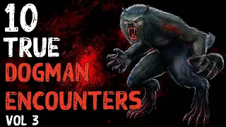 10 TRUE | DOGMAN ENCOUNTERS | Vol.3