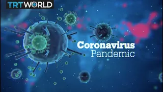Coronavirus pandemic in the Balkans - Focal Point