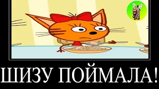 МУД ТРИ КОТА ДЕМОТИВАТОР 136 | ШИЗУ ПОЙМАЛА!